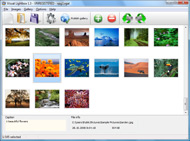 java script window xp Jquery Image Rollover